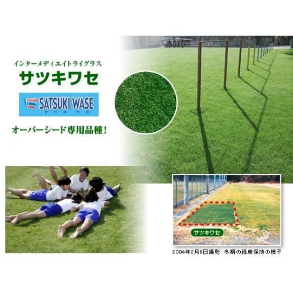 yC^[~fBGCgOXqz^LCc@mŁ@TcLZ@20kg@PVPo^i@V^l8ȍ~@[J[ɂs