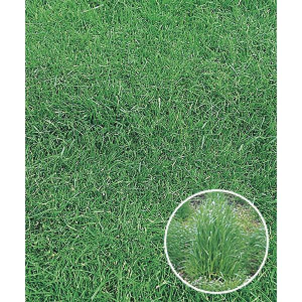 yC^ACOXqz@^LCc@ZthE@20kg@PVPo^i@[J[ɂs