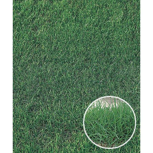 yP^bL[u[OXqz@j[O[h@1@[J[ɂs