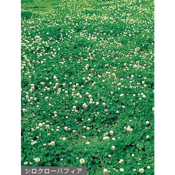 yVN[oqz^LCc@tBAiRhF]R[gqj0.5kg@[J[ɂs