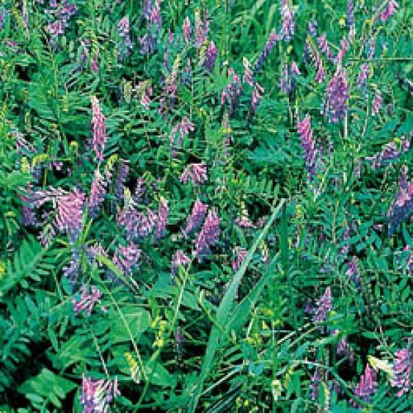 yxb`qz^LCc@wA[xb`uiCv@1kg@[J[/s