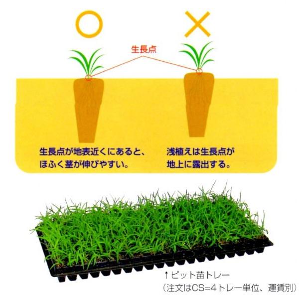 ueBtuAvsbgc200@12gCi96m2j@PVPo^i@󒍌60`90yǃZ`s[gOXcz^LCc@[J[/s