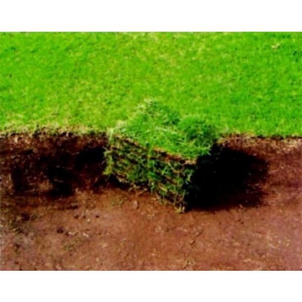 ueBtuAv10ĕi֐njyǃZ`s[gOXciŁjz^LCc@܂ށPVPo^iqs