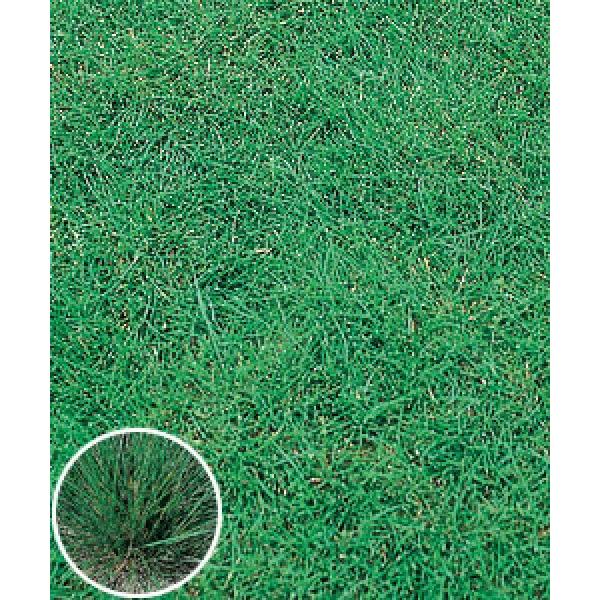 yŐEőqz@^LCc@tFXNށ@N[sObhtFXN@{Aiʎj@1kg@[J[ɂs