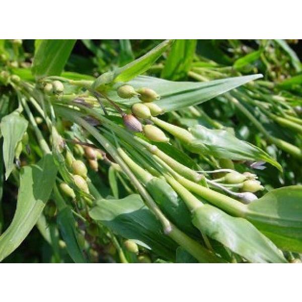 y͂Ɣqzʎ@ngMqi͂Ƃނj10kg@[J[ɂs