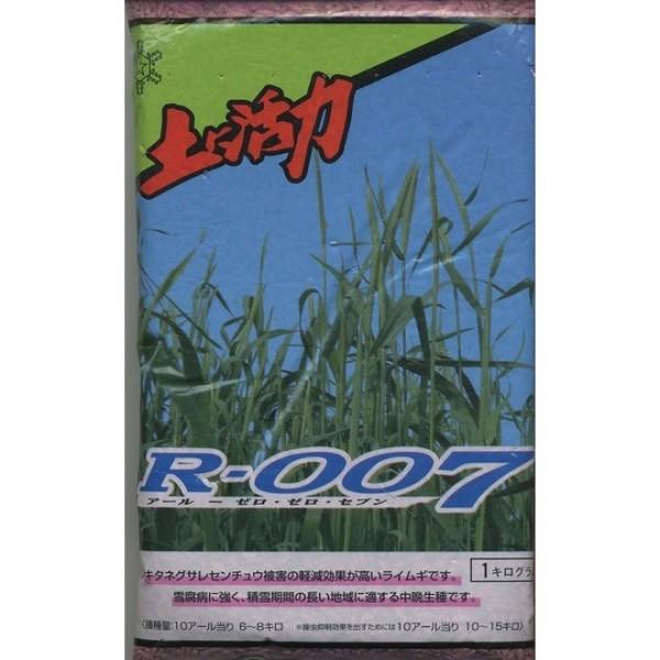 yCi炢ނjqzc@R-007FӐ@P@[J[ɂs