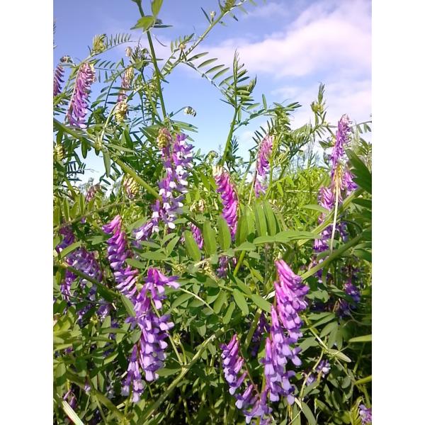 yxb`qzc@wA[xb`uiӂjv1kg@5/{ȍ~[J[/s