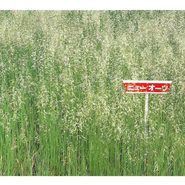 yGqzJlRc@uj[I[cv@1@[J[ɂs