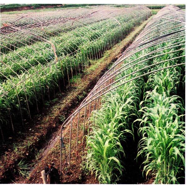 y\KqzJlRc@X_bNX@Δp@1@͂4ȍ~̂͂@[J[ɂs