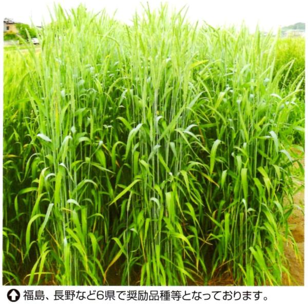 yCRMqzJlRc@C_bNXE@1@[J[ɂs