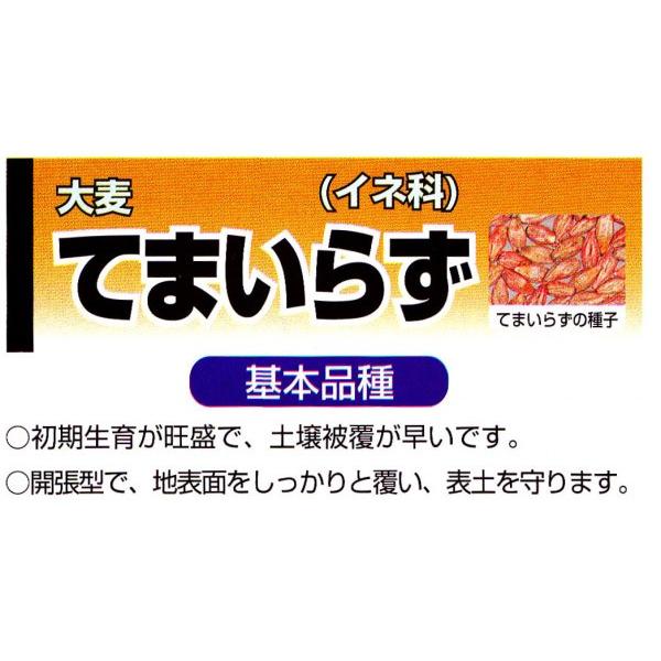 yIIMqzJlRc@rO}`p@uĂ܂炸v@20iPkg×20j@͂3ȍ~`7܂