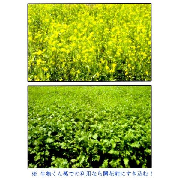 y`KViqz^LCc@Δp`KVuԂ؁v1kg@9ȍ~[J[/s