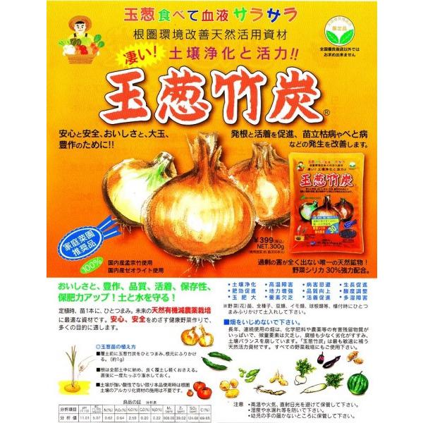 y͎ށzuʔK|Yi܂˂jv300@ʓr