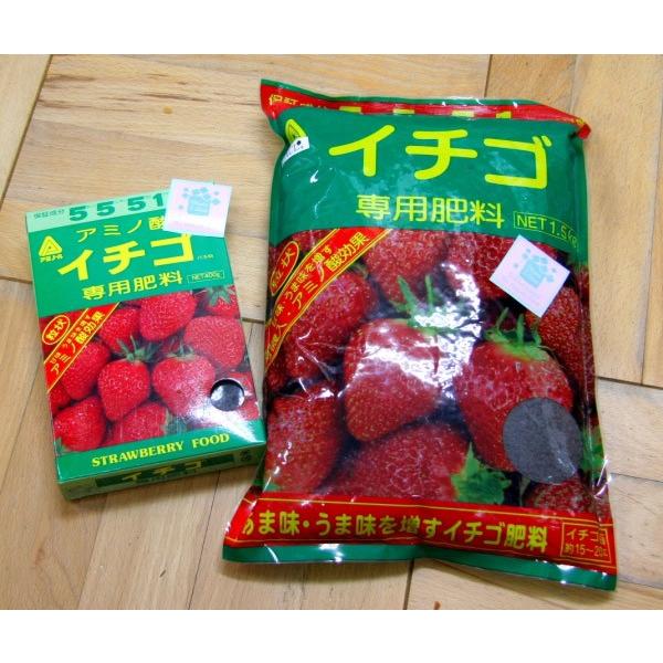 y엿z@䕁ijÂɌȂ엿@A~m_uC`Sp엿v@1.5kg_ܓ@ʓr