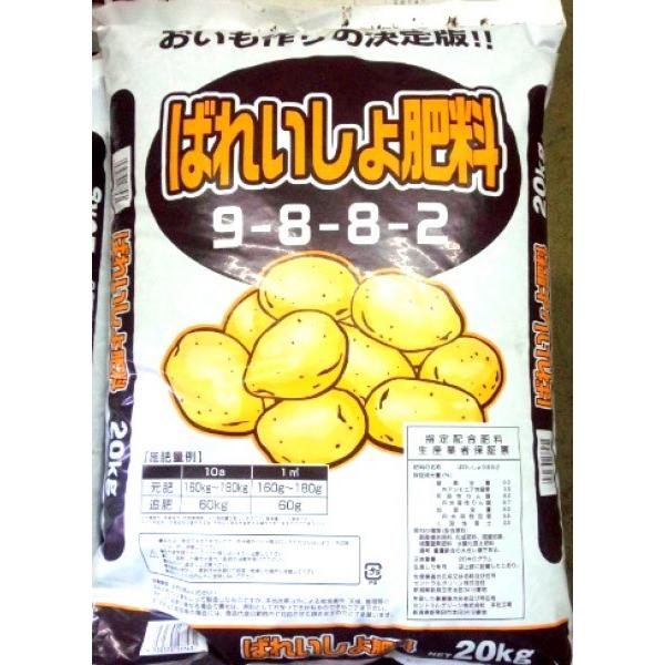 y엿z@u΂ꂢ엿i΂ꂢЂ傤jv@9-8-8-2@@20@