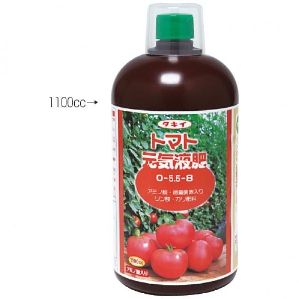 yt̔엿z^LCc@ug}gCtiƂ܂Ƃ񂫂Ёjv@@20@/s