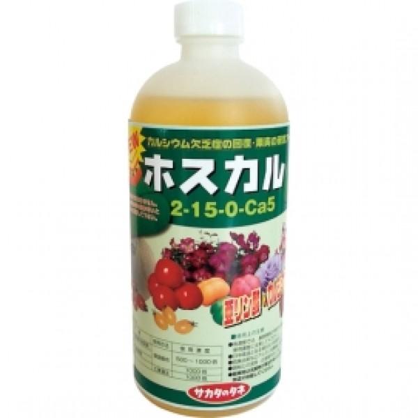 �u�z�X�J���v2-15-0-Ca5�@500ml�i600���j1�P�y�t�̔엿�z�T�J�^�̍��@�\�t��V���[�Y�@�������_�J���V�E���܁@����������