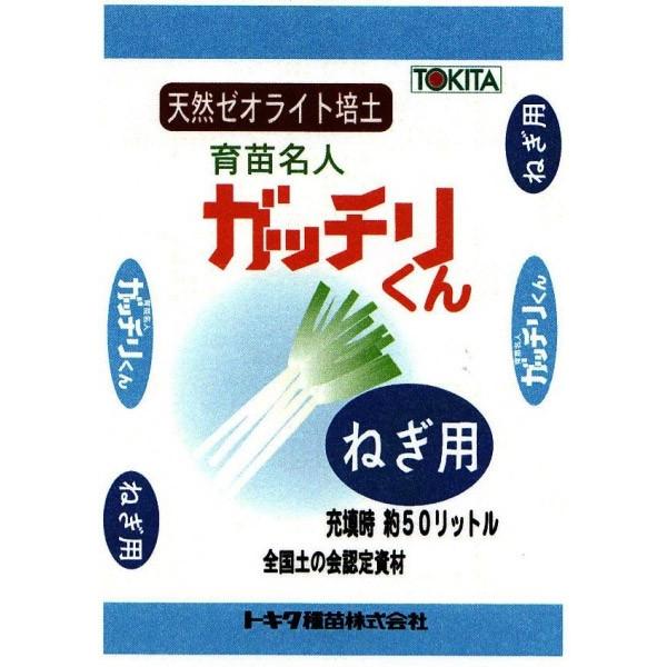 ͂nikCnjyVR[ICg|{yzKb`@˂p@50bgi18j