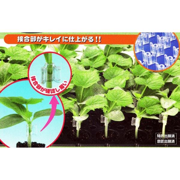 yYށzږؗpށ@EJz_[MiLEpj@`킹ږؗpz_[@200P