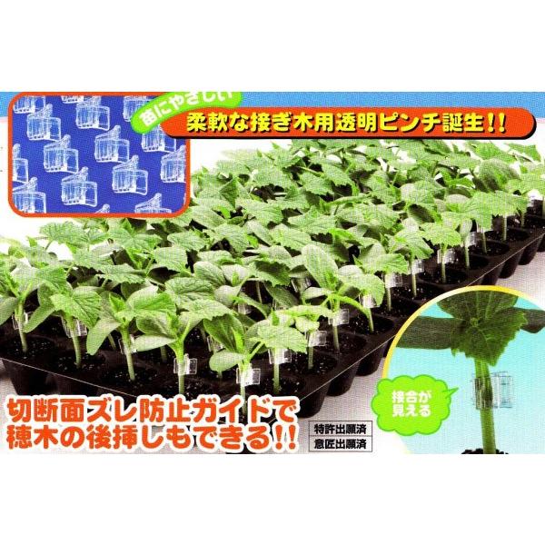 yYށzږؗpށ@NAs`MiLEEXCJEpj@`킹ږؗpz_[@200P