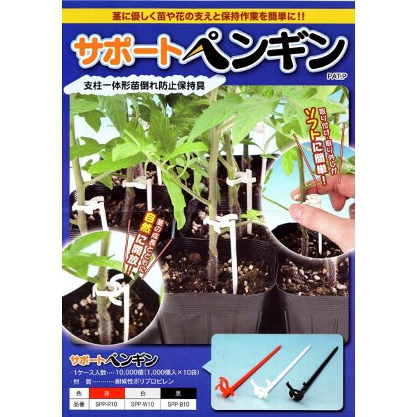 ナス 種 黒の人気商品 通販 価格比較 価格 Com