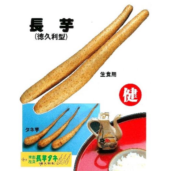 yqztxuvvSTCY@10kg@4{萏@