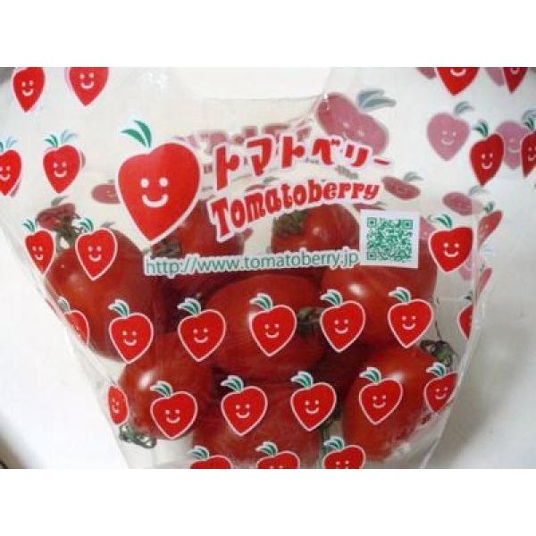 yg}gpz~jg}g@g}gx[@FG܁ihܑ܁j100@ΏۊOi