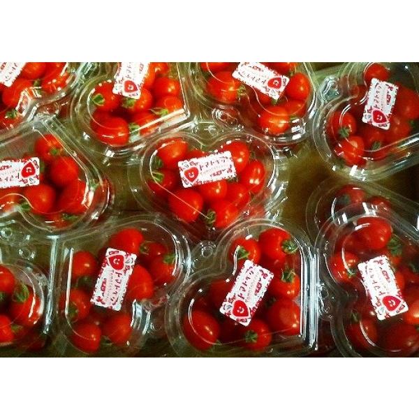 yg}gpz~jg}g@g}gx[p@V[iTCYj1000@ΏۊO@s