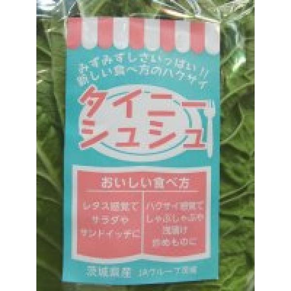 �y�n�N�T�C�p�z�T�J�^��z�@�^�C�j�[�V���V���p�@FG��2���p100���@�����������ΏۊO���i