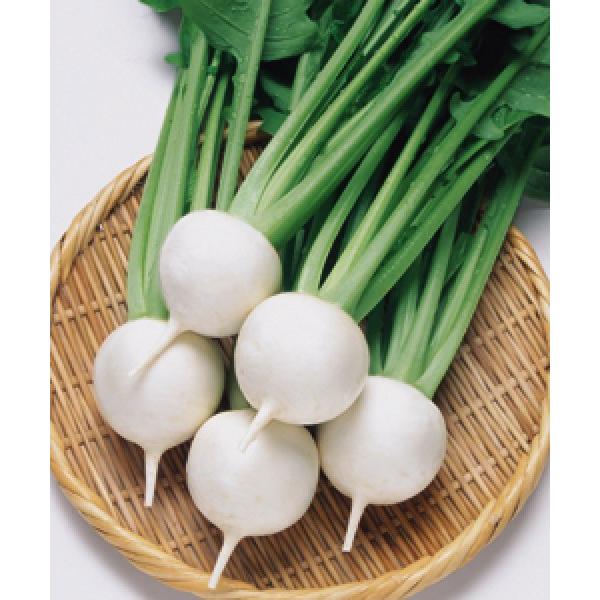 yJuqz^LCz@@bq䂫΂ȁ@20@Nxi@V^l̂͂6ȍ~ƂȂ܂