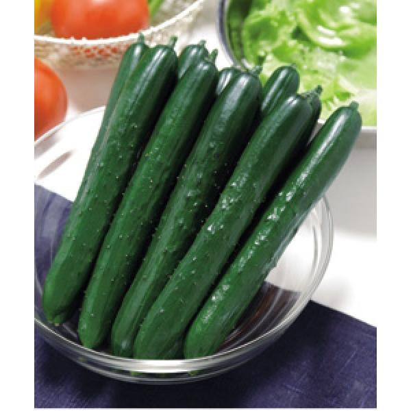 yLEqz^LCz@VRĂ݁iȂ݁j350@V^l͎qؑւ1ȍ~̂͂\