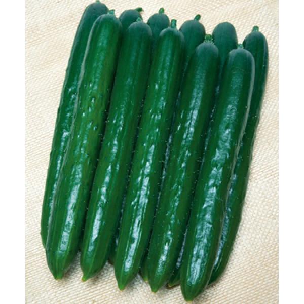 yLEqz^LCz@VVC@350@V^l͎qؑւ1ȍ~̂͂\