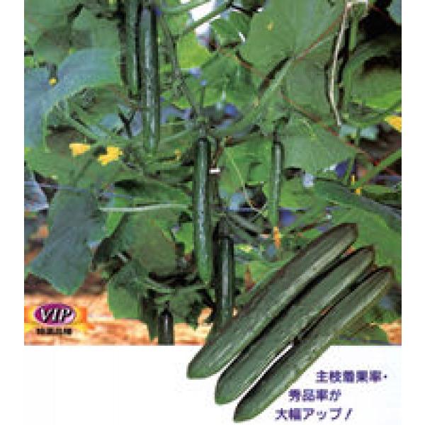 yLEqz  JlRz@قJP  350@@V^l͎qؑւ1ȍ~̂͂\