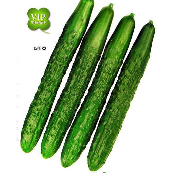 yLEqz  JlRz@@lij@350@V^l͎qؑւ1ȍ~̂͂\