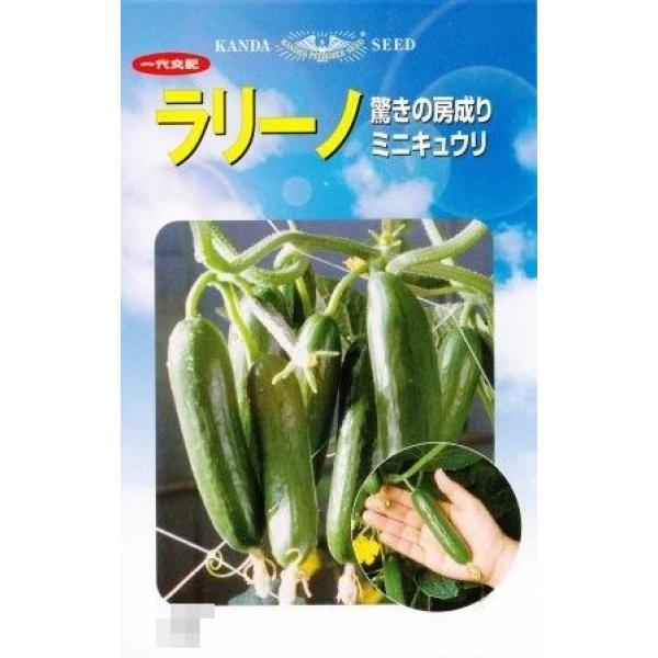 yLEqz_cz@[mi~jjӉZ@100@V^l͎qؑւ1ȍ~̂͂\