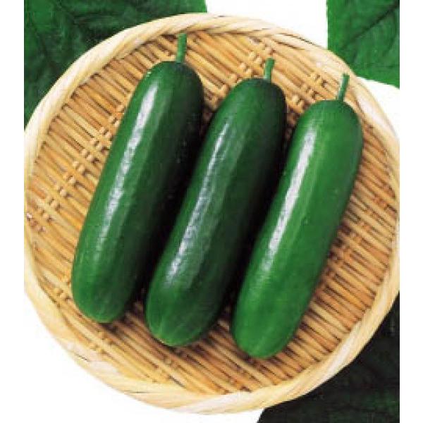 yLEqzz@~jӉZ@uhJi琬ihJiZijv@100@