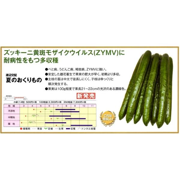 yLEqznӌzinӔ_j@uĂ̂́v@܁iQOj@V^l͎qؑւ12ȍ~̂͂\