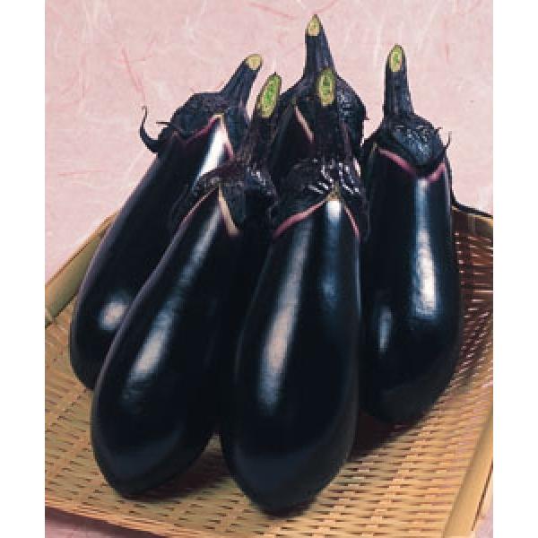 yiXqz^LCz@痼񍆁i傤ɂj@DF܁@12ȍ~̂͂\