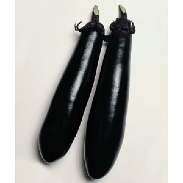 yiXqz^LCz@zi悤j@ 2000@12ȍ~̂͂\