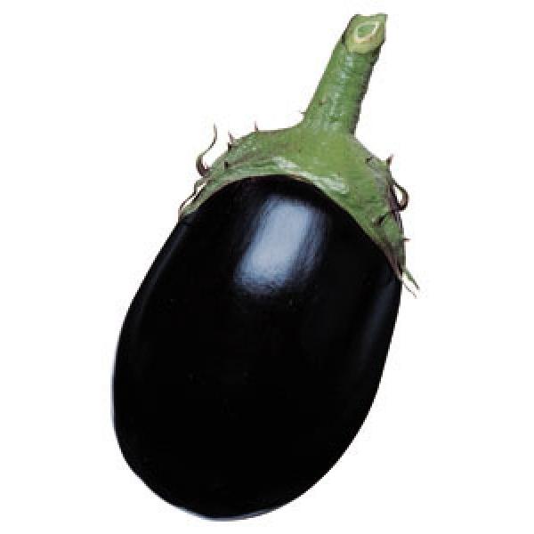 yăiXqz^LCz@킵iׂȂjDF܁@V^l͎q؂ւ̂PQȍ~̂͂\