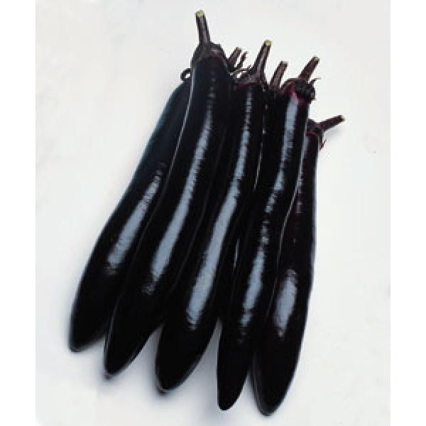 yiXqz^LCz@咷i傤₨Ȃj@DF܁iTOj@V^l͎q؂ւ12ȍ~̂͂\