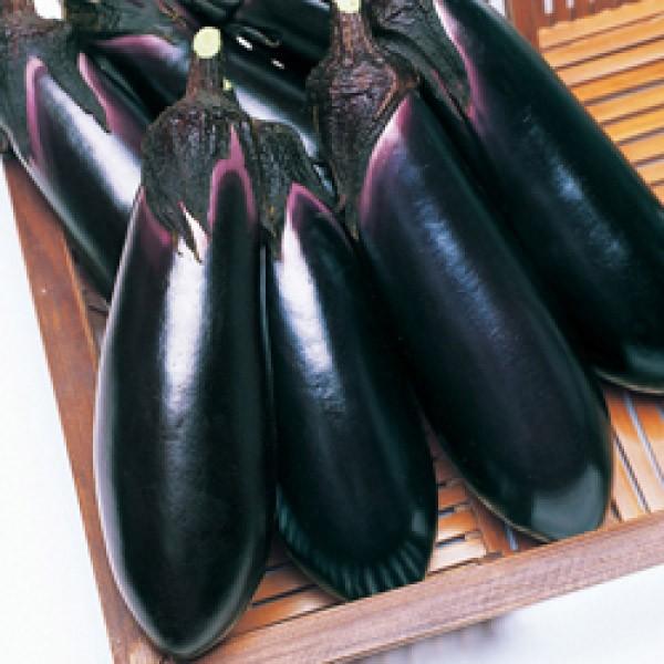 yiXqz^LCz@ƂȂ痼񍆁iƂȂ傤ɂj@܁i35j@PVPo^iq@PQȍ~̂͂\