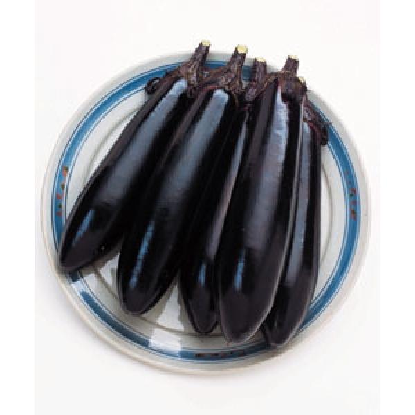 yiXqz^LCz@}zi悤j@100@V^l͎q؂ւ12ȍ~̂͂\