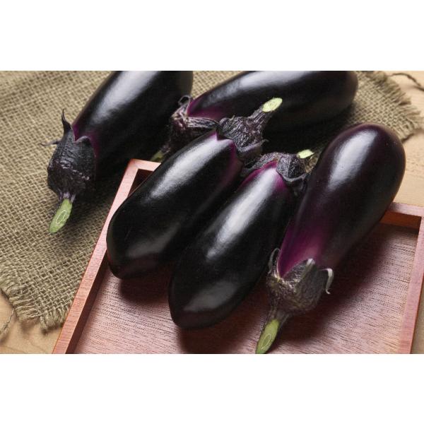 yiXqz^LCz@P׌ʂȂuobiイjv1000@V^l͎q؂ւ12ȍ~̂͂\