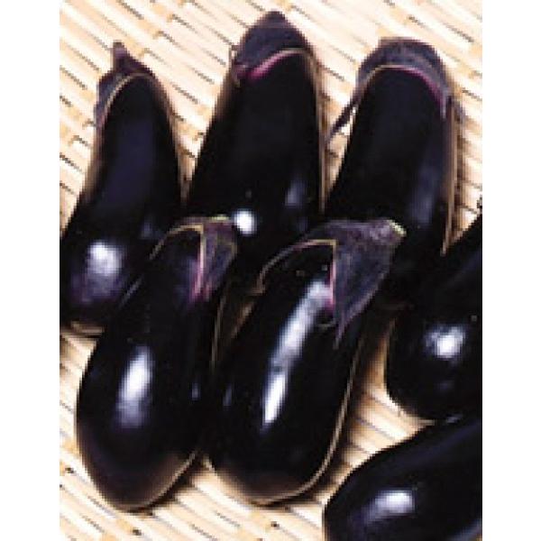 yiXqzTJ^z@@Ȃ@@500@12ȍ~̂͂\