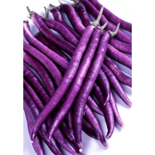 yiXqzTJ^z@@ւтȂ@u}[Vi܁[ڂjv@500܁V^l̐؂ւ12ȍ~̂͂\