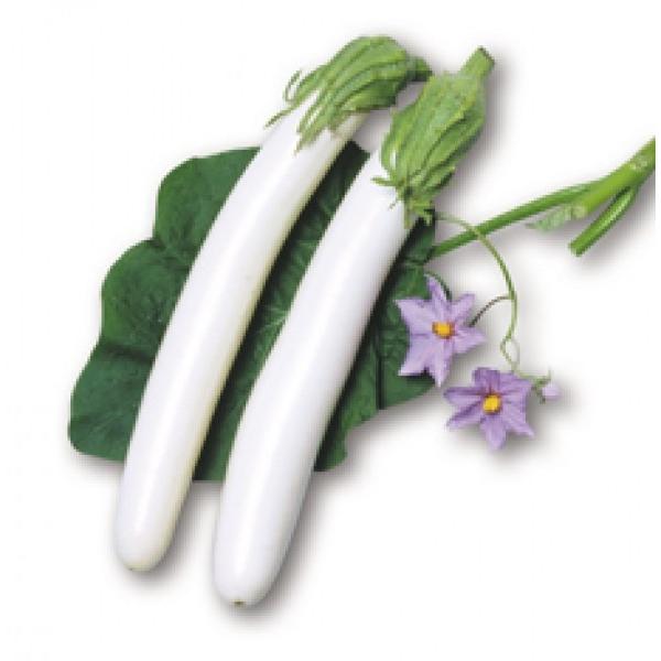 yiXqzFziێj@炩i炩Ȃj܁i40j12ȍ~̂͂\