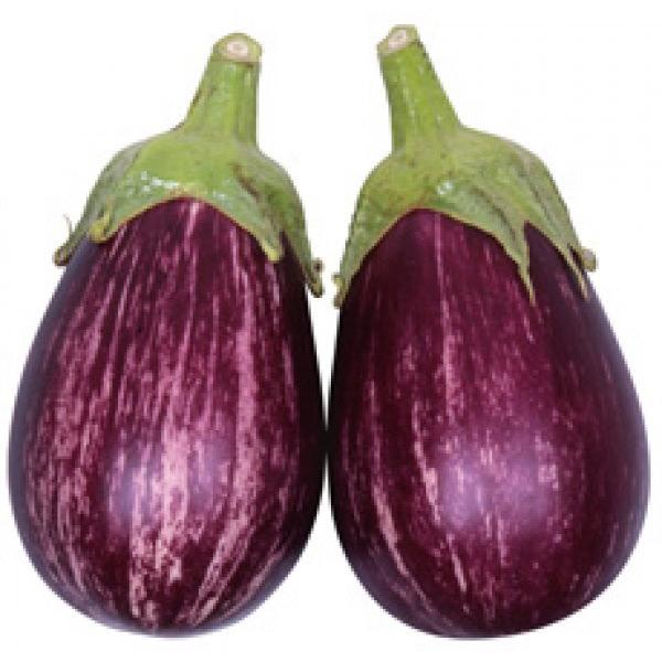 yiXqz@Fziێcj@@Ȃނ炳i܂ނ炳Ȃj@܁@12ȍ~̂͂\