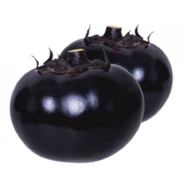 yiXqz@Fziێcj@@܂񂶂イi傤܂񂶂イȂj@܁@12ȍ~̂͂\