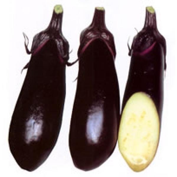 yiXqz@zinӍ̎j@jiтȂj@5ml@12ȍ~̂͂\